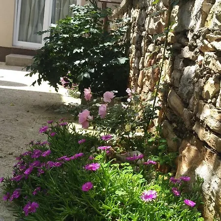 公寓 Istrianka 普拉